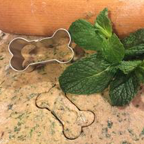 The image shows biscuit dough for fresh breath dog biscuits. The dough is accompanied by a rolling pin, a bone-shaped cookie cutter and a fresh mint sprig.