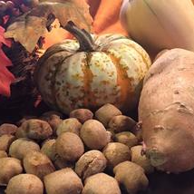 An image of homemade sweet potato dog treats surrounded by a sweet potato, a small pumpkin, and leaves, inspiring feelings of warmth and fall.