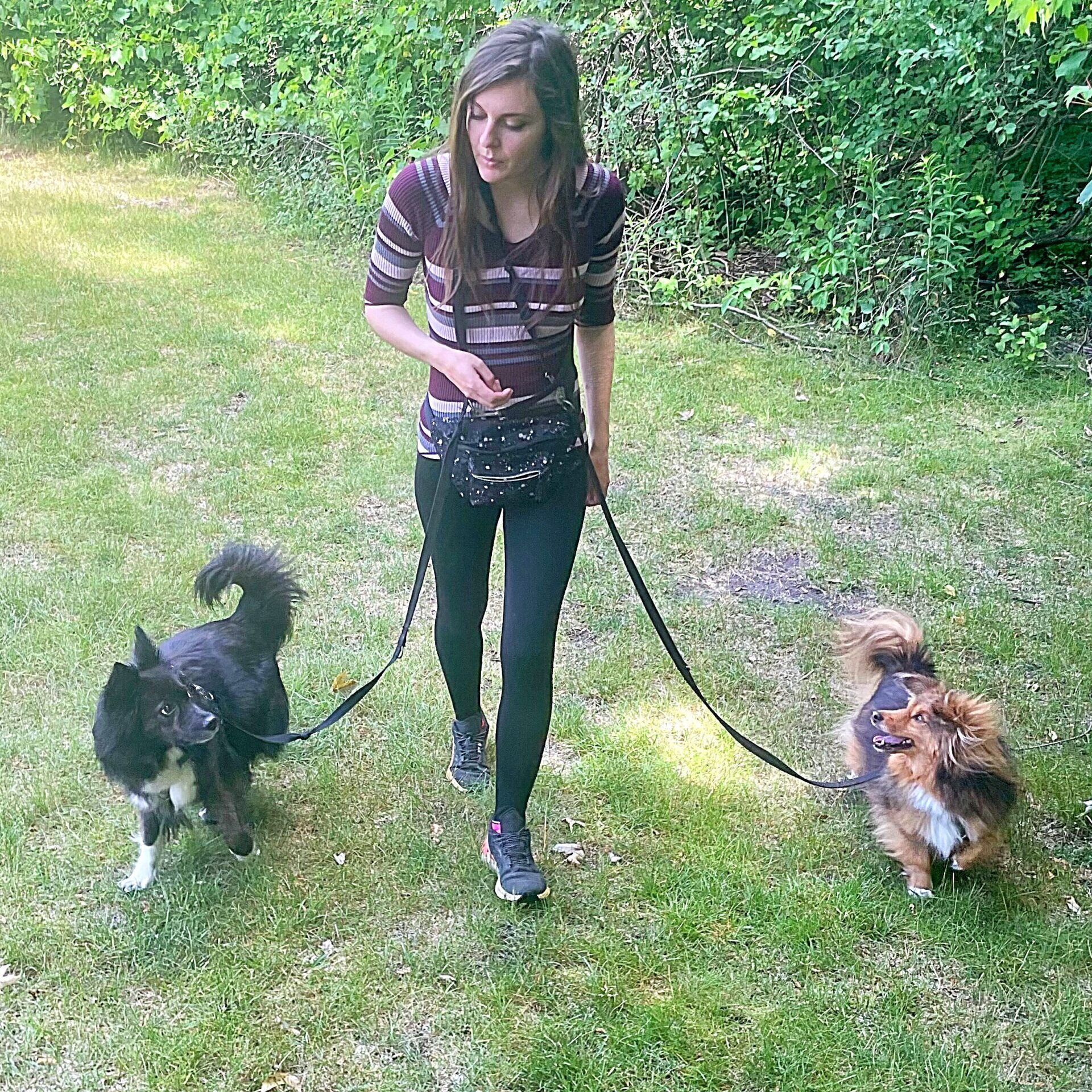 Dog Training - Mandy Beaudoin, Dog Trainer, Walking and Training Kiba and Fenrick