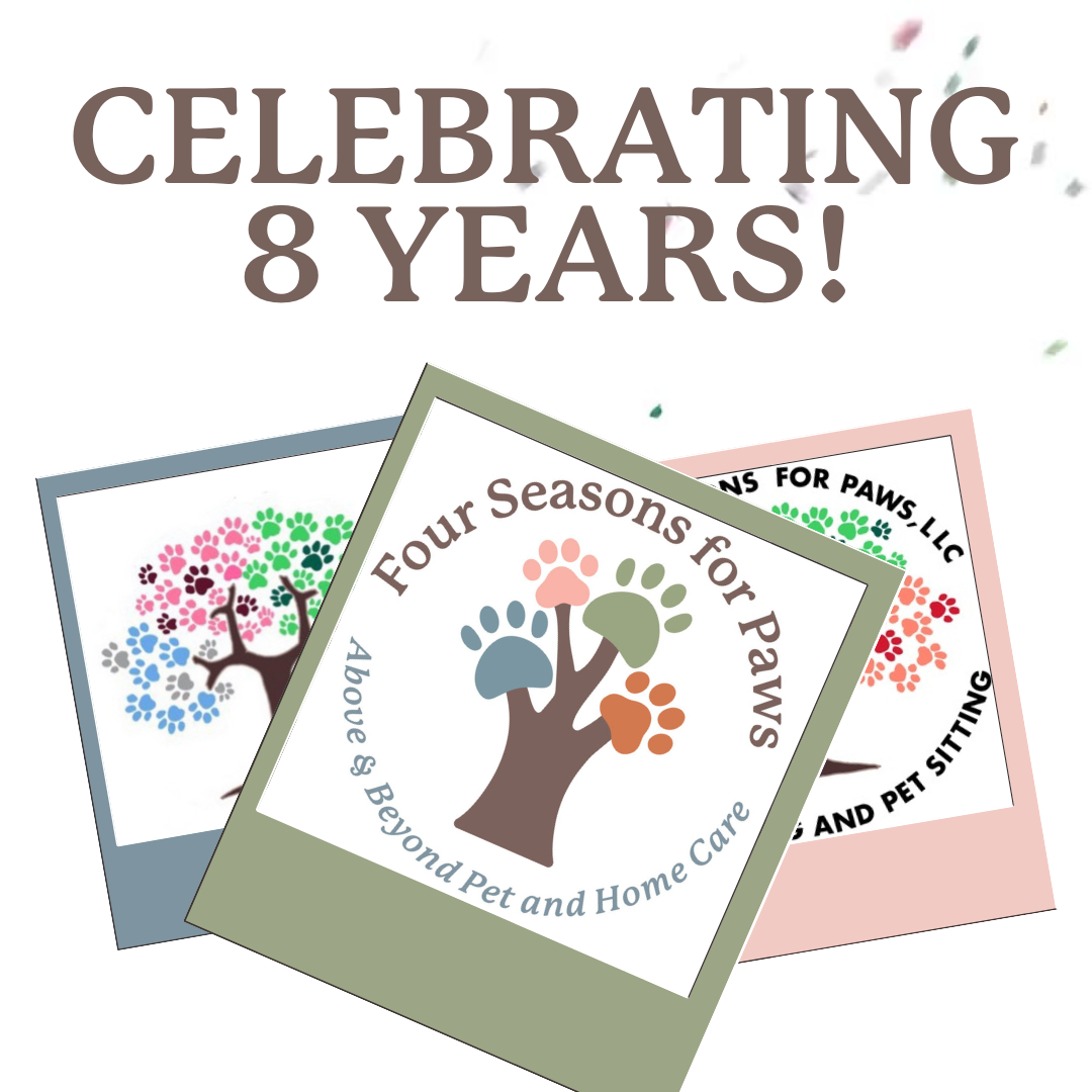 An image showcasing the Four Seasons For Paws logo evolution, celebrating 8 years in business.