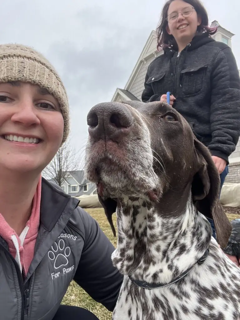 Two pet care specialists guiding a dog through a socialization exercise, emphasizing the importance of continuing to socialize your dog for their overall well-being.