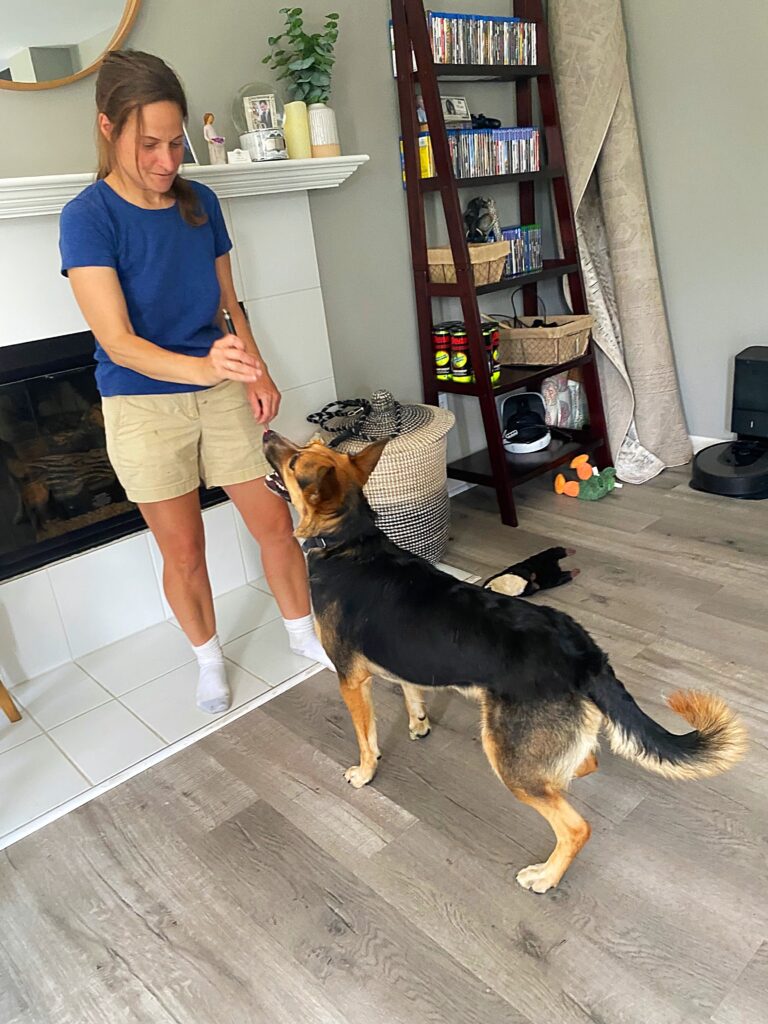 An image showcasing the benefits of hiring a professional pet sitter. The image features a pet sitter interacting with a happy dog in a home setting. The pet sitter is engaged in playtime with the dog, providing companionship and care.
