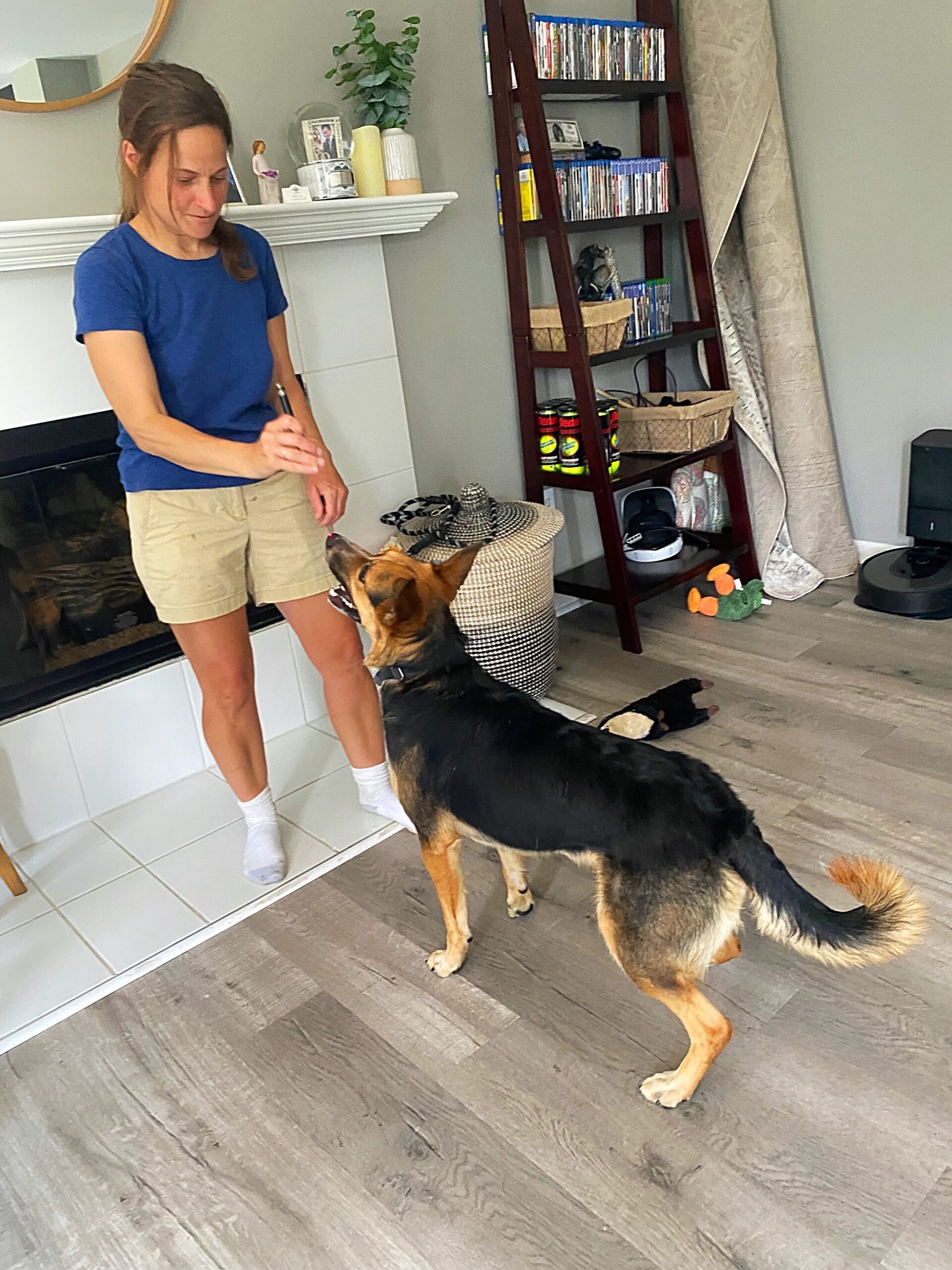 An image showcasing the benefits of hiring a professional pet sitter. The image features a pet sitter interacting with a happy dog in a home setting. The pet sitter is engaged in playtime with the dog, providing companionship and care.