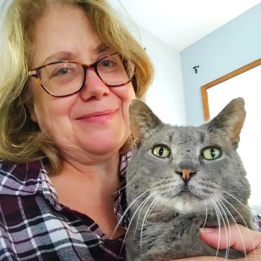 An image showing a pet care specialist interacting with a cat, providing care and attention. This image represents the topic of knowing if a pet care specialist has visited your pets and highlights the importance of professional care and attention for your furry friends.