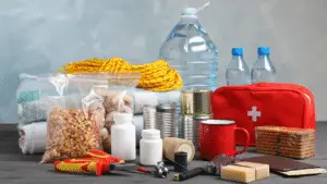 Pet emergency kit containing essential supplies like food, water, medicine, a leash, and pet records, ready for a disaster or unexpected evacuation.