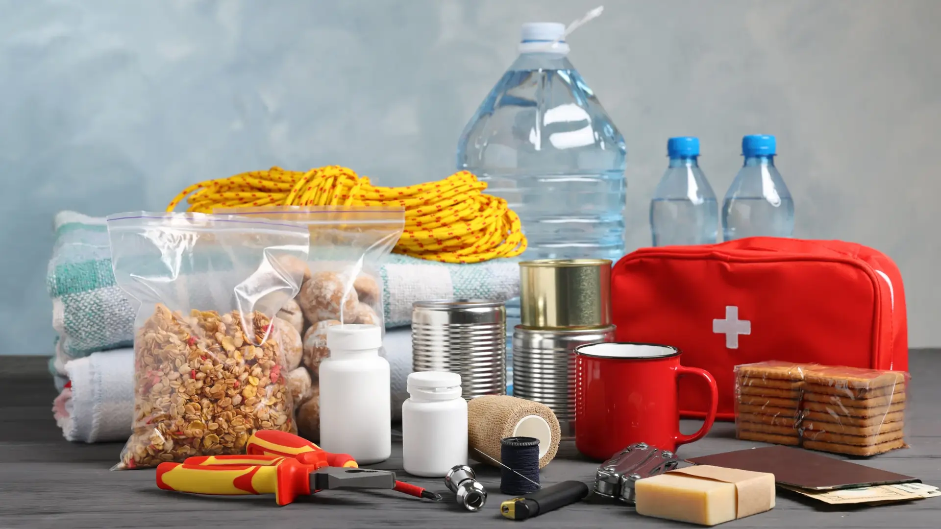 Pet emergency kit containing essential supplies like food, water, medicine, a leash, and pet records, ready for a disaster or unexpected evacuation.